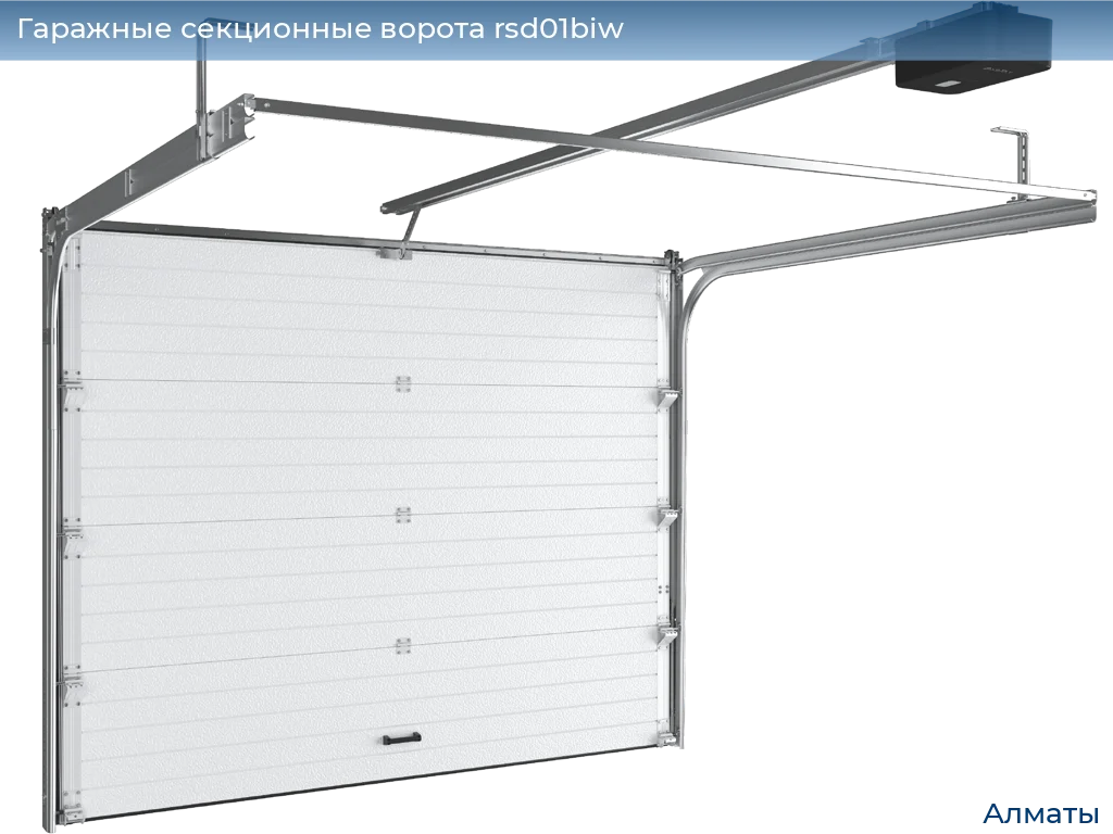 Секционные гаражные ворота RSD01BIW в Алматы